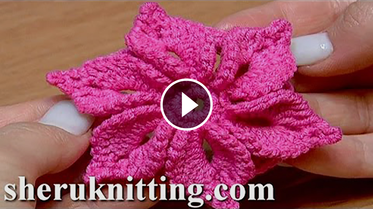 how daisy crochet 3D Crochet Flower  CrochetBeja