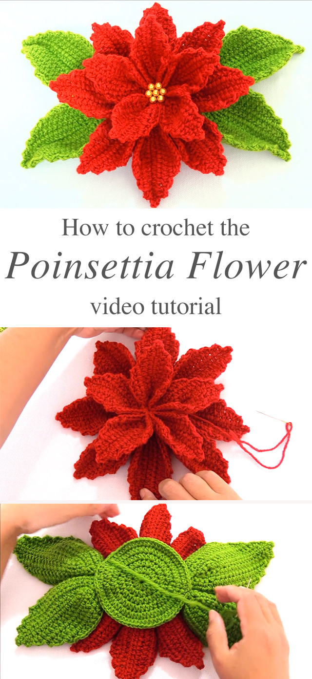 Poinsettia Crochet Flower Free Pattern Video Tutorial