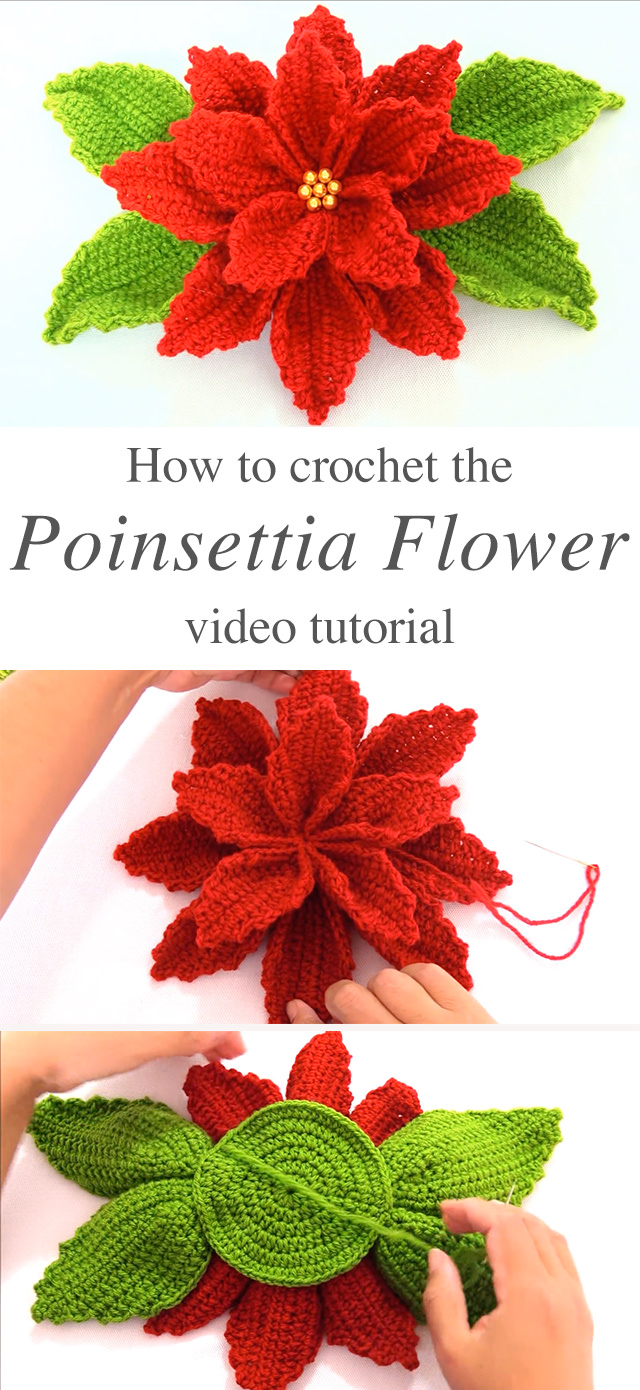 Crochet Poinsettia Flower To Make For Decor CrochetBeja
