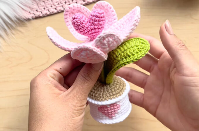 Crochet Tulip Flower Featured - Whether you’re looking to enhance your home décor or craft a thoughtful handmade gift, a crochet tulip flower is perfect for the occasion.